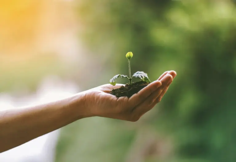 kenjekracht-blogs-duurzameinzetbaarheid-intrinsiekemotivatie-plantjeophand.png